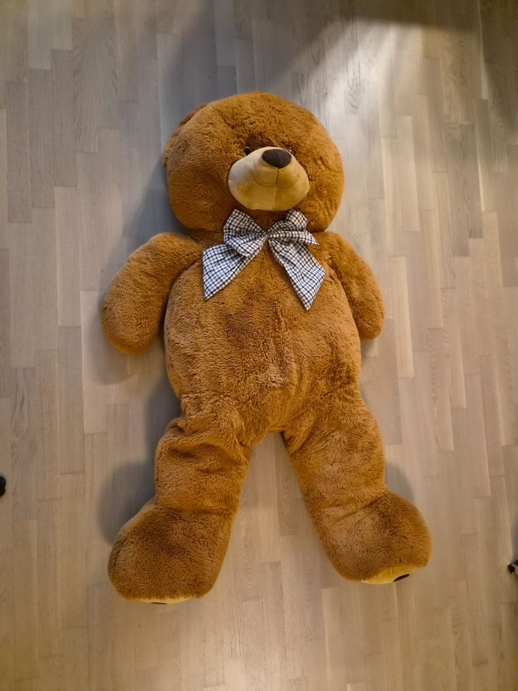 Spielzeuge: Teddybär 160cm – Gebraucht aus Dübendorf von m_stocker 1