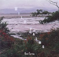 Wild Palms - Until Spring