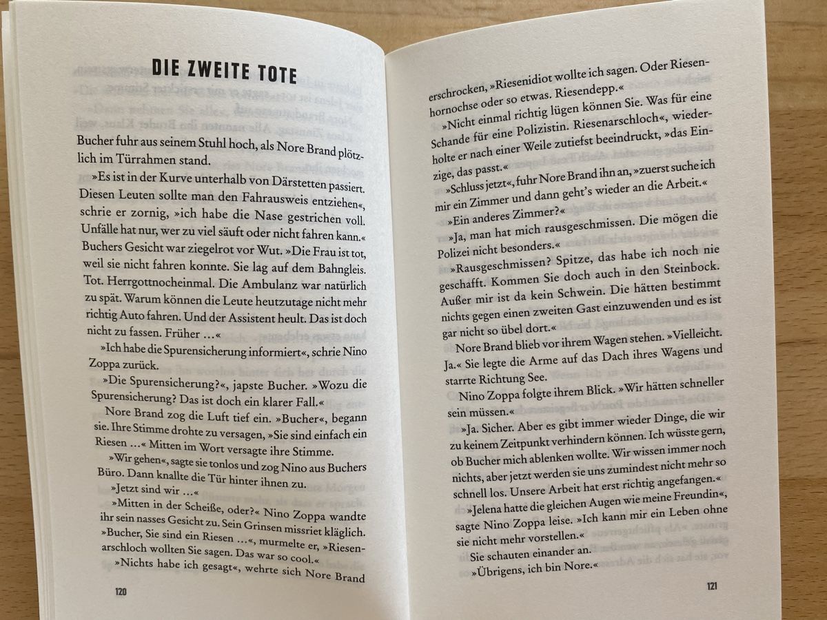 Bücher: Matrjoschka-Jagd - Marijke Schnyder – Gebraucht aus Schwarzenburg von Michellu 7