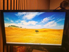 Acer KG241Q 24" Full HD Monitor – HDMI & DisplayPort – Top Z