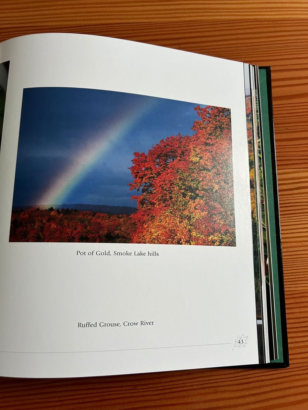 Libri: Algonquin Souvenir von Michael Runtz / NEU – Nuovo e nell'imballaggio originale da Zürich venduto da elsoca 3