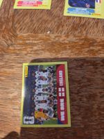 Panini WM Sticker "WE ARE ENGLAND", neuwertig