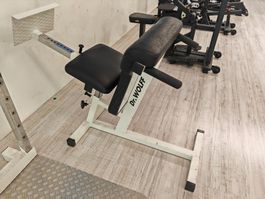 Dr. Wolf Hyperextension