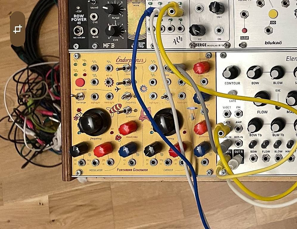 Strumenti musicali: Endorphin.es Furthrrrr Generator – Usato da Bern venduto da nomitzruk 1