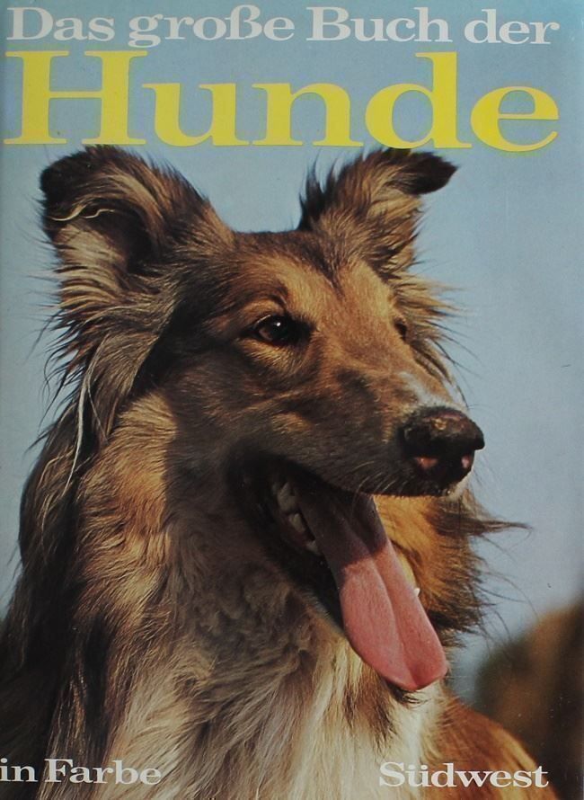 Libri: Das Grosse Buch der Hunde – Usato da Schlatt TG venduto da annesbuecher