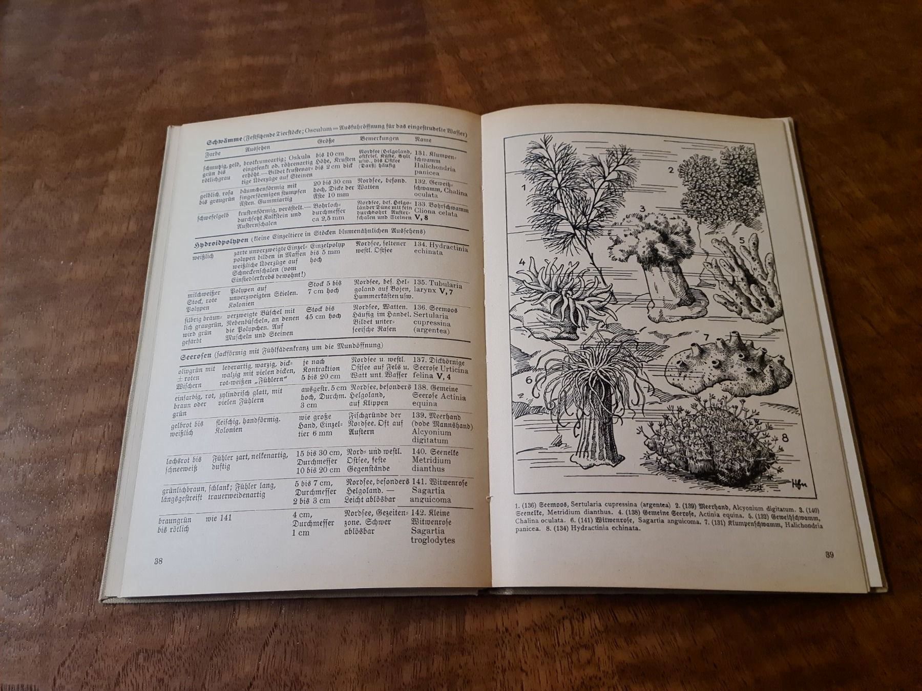 Livres: Was find ich am Strand? – D'occasion à Erstfeld par Uhu1980 2