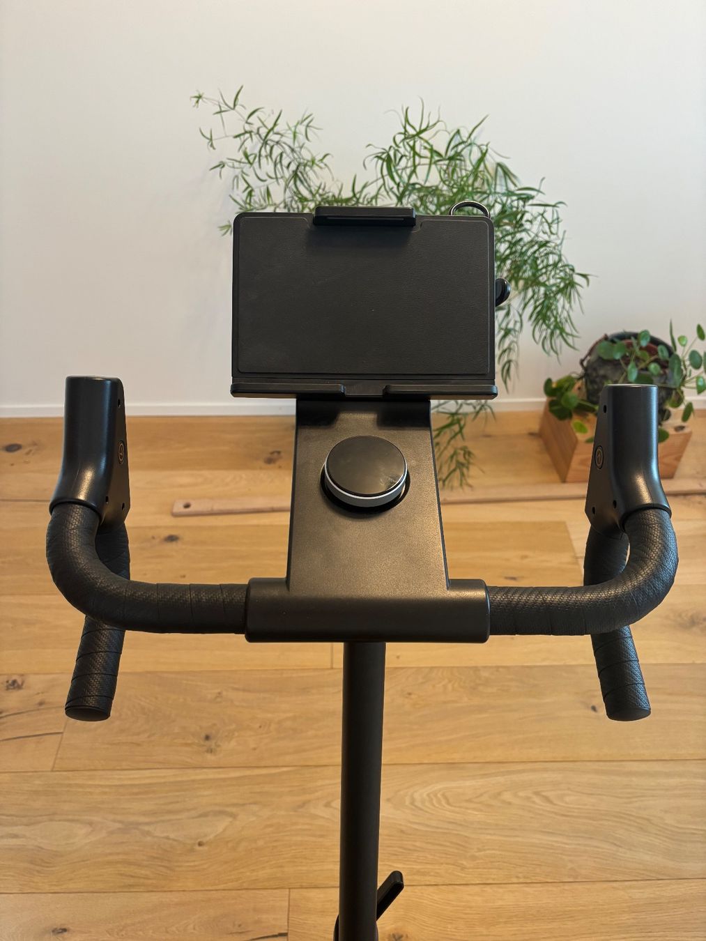 Hometrainer: Hometrainer TWHEELS Eichenholz – Gebraucht aus Langnau am Albis von Clockwork_Games 2