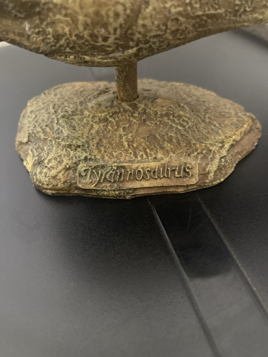 Statuette: Crâne de dinosaure - Objet de décoration – Nuovo (secondo la descrizione) da Fribourg venduto da lau_5lkk 3