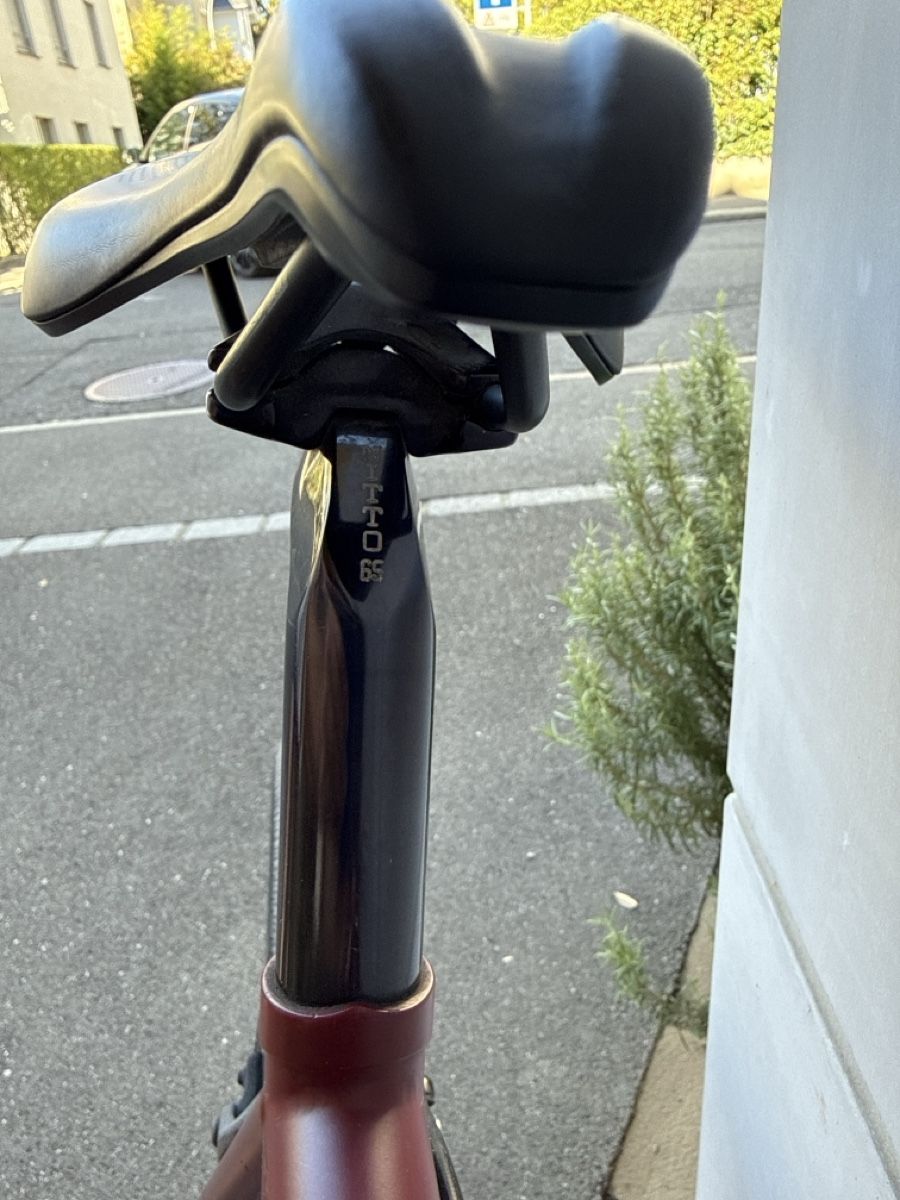 Biciclette: Gorilla Single Speed Bicycle (Schlumpf gear shift) – Usato da Zürich venduto da flo_2wkz 1