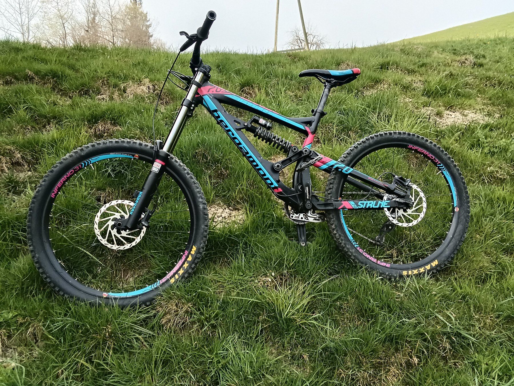 Bergamont Biciclette: Downhill Bike Bergamont Straitline – Usato da walde venduto da cornelia_klaus