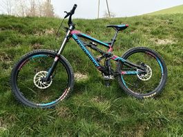 Downhill Bike Bergamont Straitline