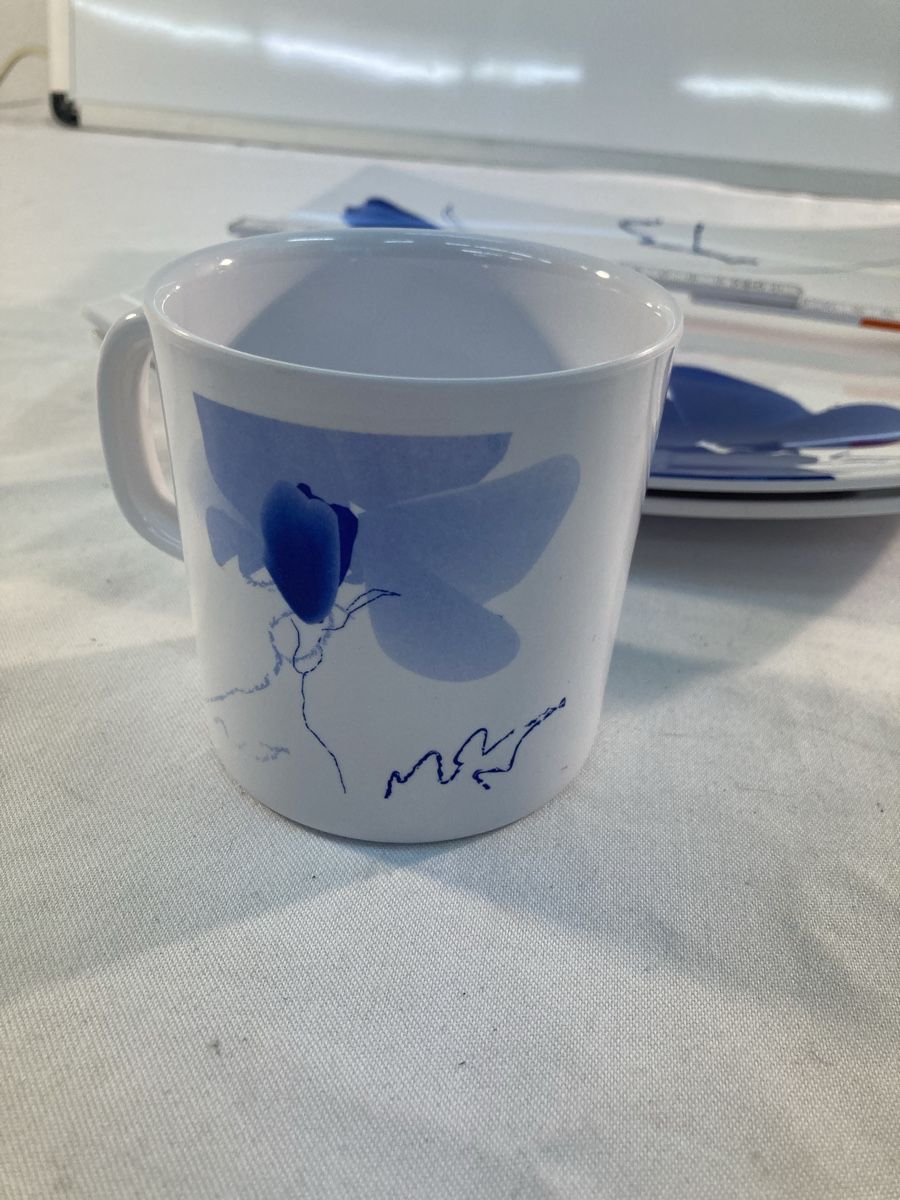 Set di piatti: Teller/Tassen Set Melamine für Camping – Usato da Aarwangen venduto da to-hirschi 4