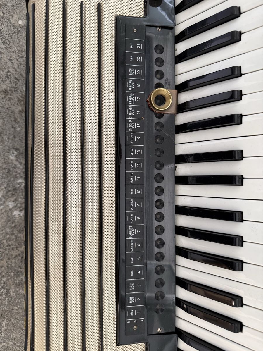 Strumenti musicali: Elektronium mit Röhrenverstärker – Difettoso da Herrliberg venduto da Bio3 5