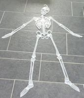 Skellett zur Deko