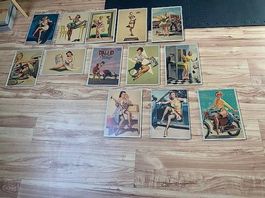 Pin Up Bilder in Alu Rahmen