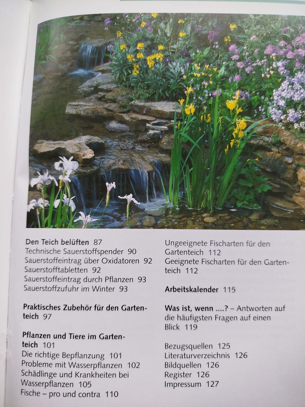 Bücher: TEICHPFLEGE LEICHT GEMACHT – Gebraucht aus Wettingen von Colorup 3