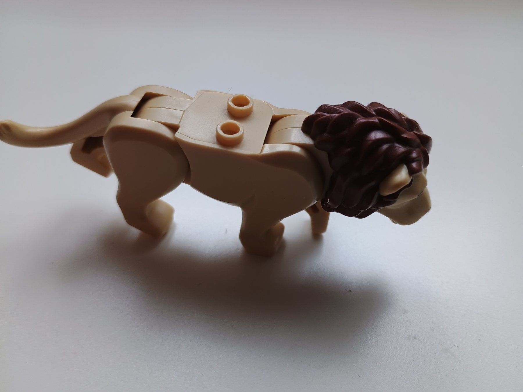Lego Giocattoli: Lego Löwe – Usato da Ganterschwil venduto da lehedinge