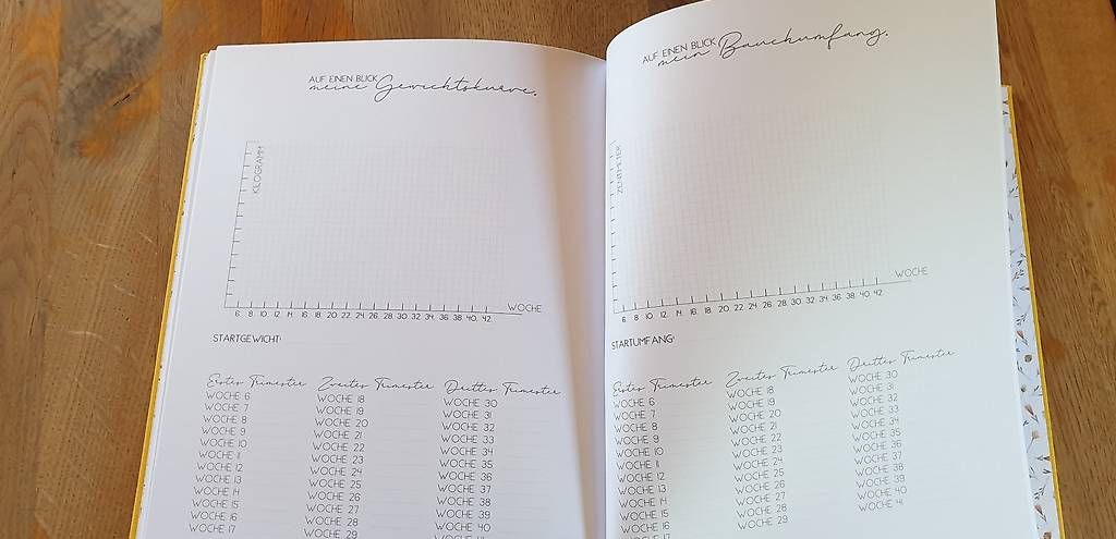 Libri: Schwangerschafts Tagebuch – Nuovo (secondo la descrizione) da Stoos SZ venduto da may_p9xx 3