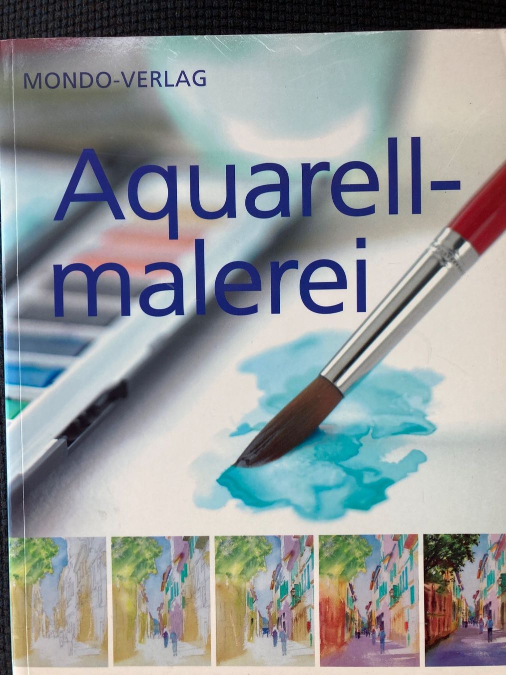 Livres: Aquarellmalerei, Aquarell malen – D'occasion à Baden par Yoyo1