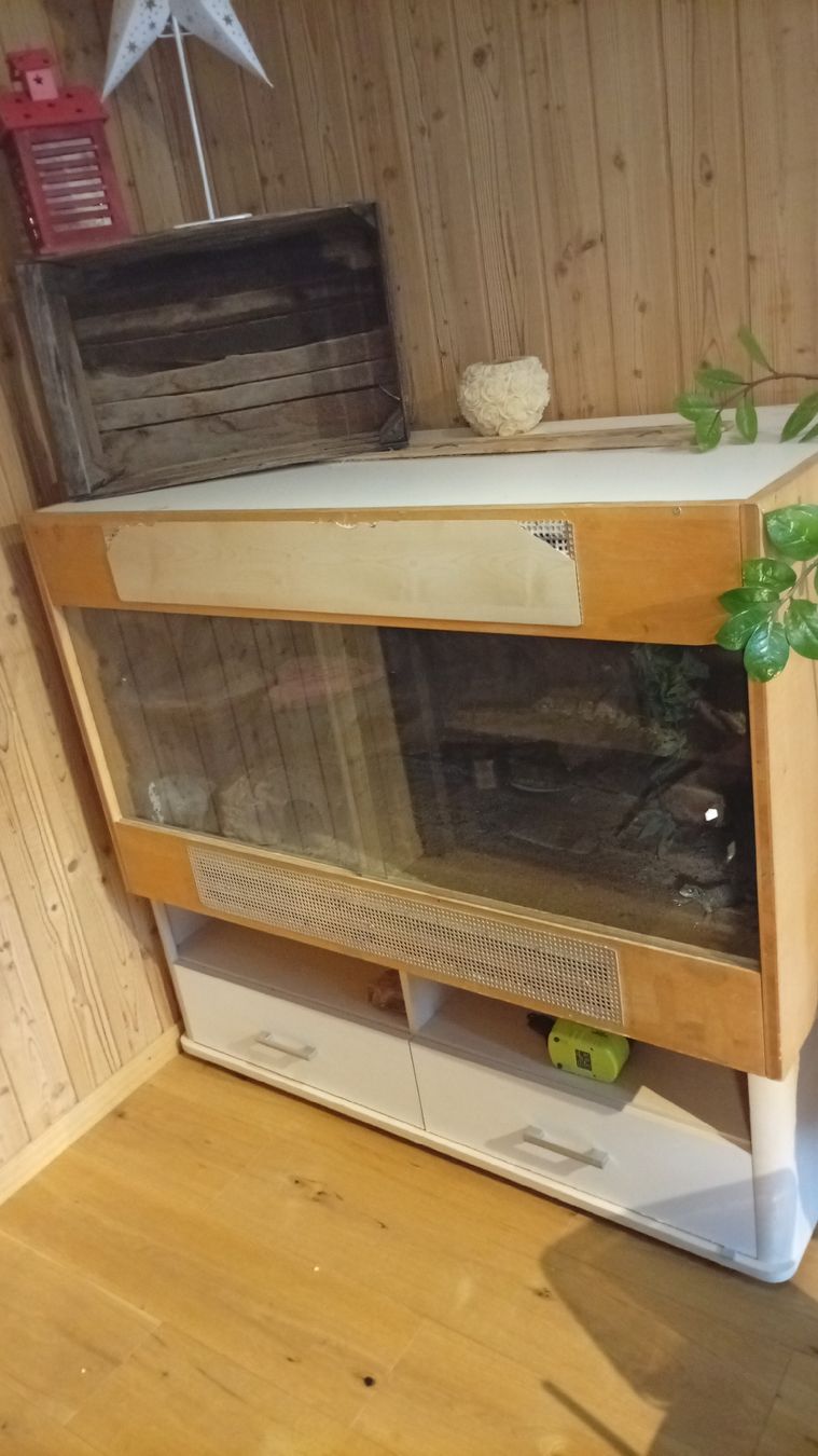 Terrario: Terrarium – Usato da Aarwangen venduto da GiLANi