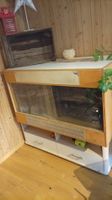 Terrarium