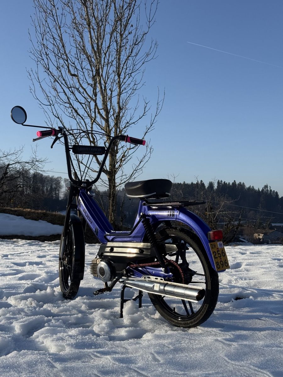 Puch Ciclomotori: Puch Maxi S – Nuovo (secondo la descrizione) da Gibswil venduto da Sereina_123f 7