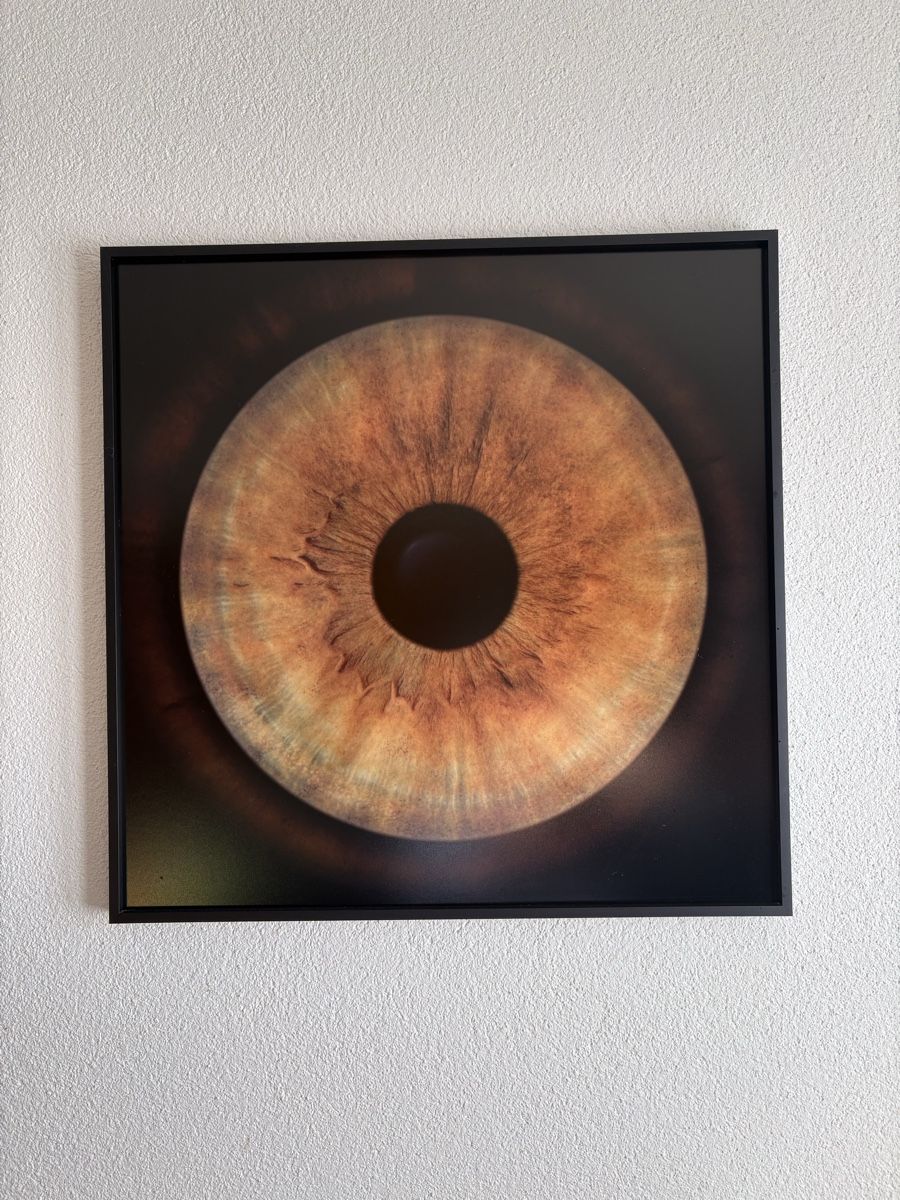 Foto & Immagini: Iris Foto Bild Aug – Usato da Dietikon venduto da YviG