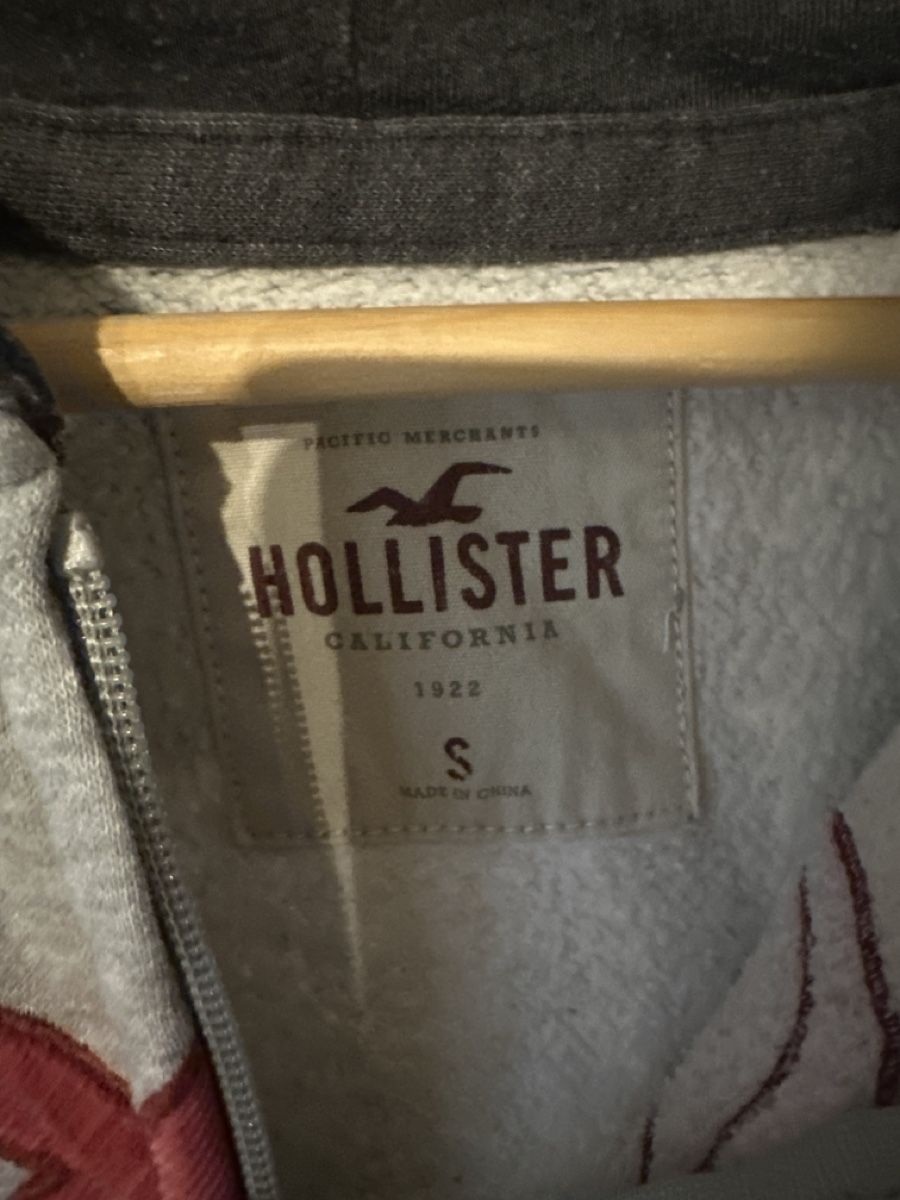 Hollister Maglioni & Felpe: Hollister Kapuzenpullover Grösse S – Usato da Duggingen venduto da MitchJ86 1