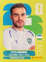 Panini FIFA World Cup UZB 17