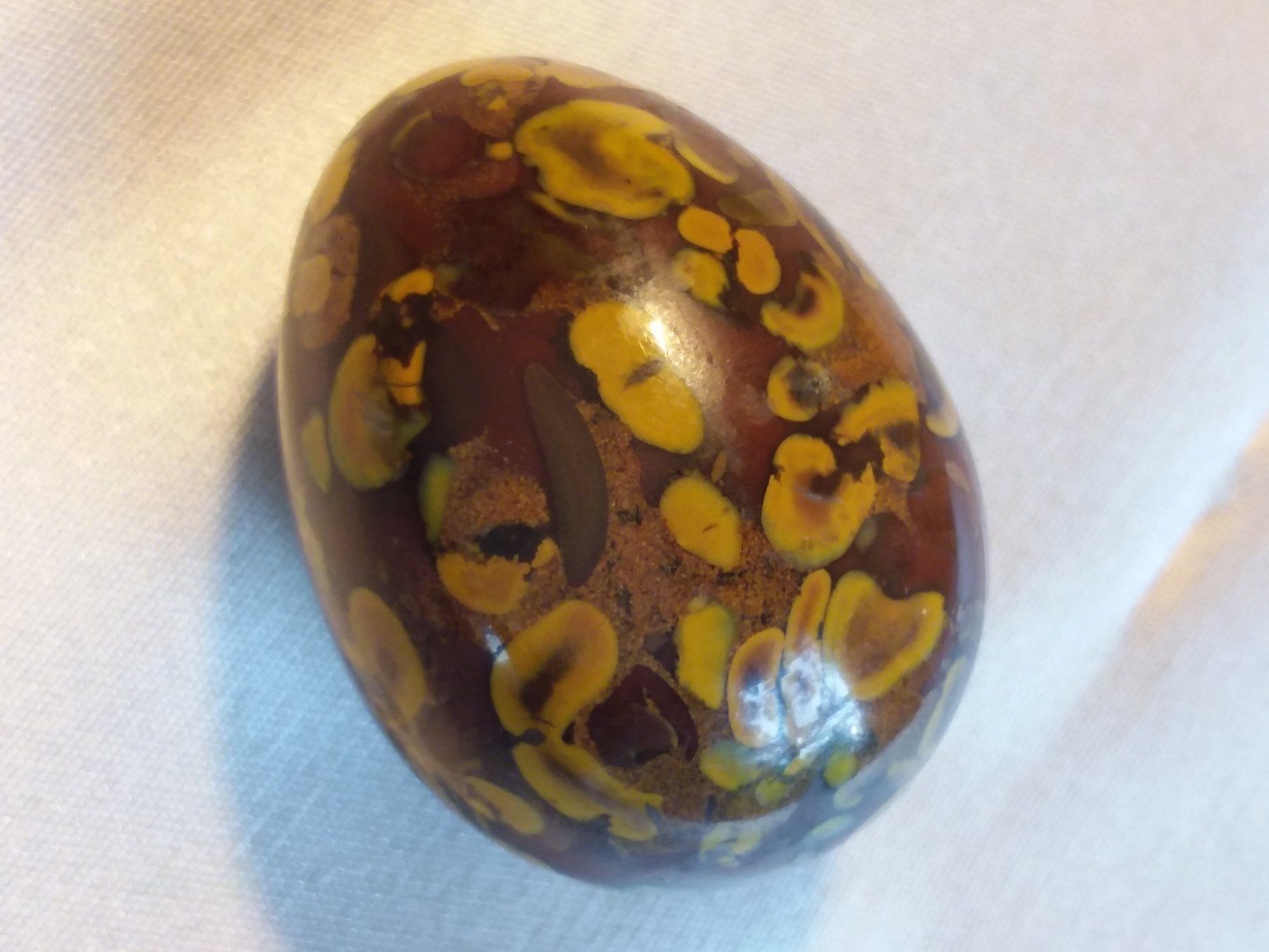 Fossili: Fossiles Korallen Ei, Jasper, Mineral – Usato da Zürich venduto da helsan 6