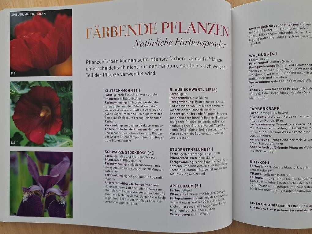 Libri: Buch "Gartenkinder" – Usato da Weinfelden venduto da Mausi2 3