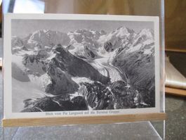 Piz Languard Bernina Gruppe Postkarte 1922  2