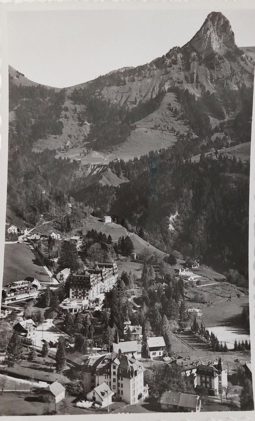 Cartoline postali: LES  AVANTS  s/Montreux – Usato da Delémont venduto da Domdom1