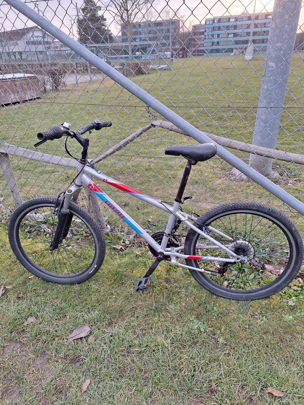 Biciclette: Mountainbike – Usato da Winterthur venduto da bis_6s2h