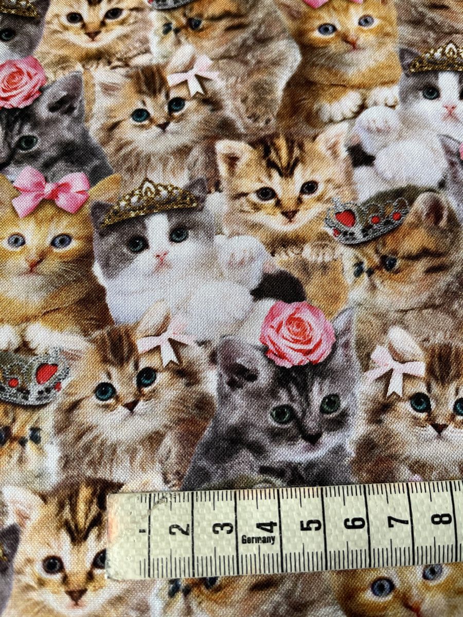 Tessuti: Patchworkstoff Prinzessinen-Katzen – Nuovo (secondo la descrizione) da Seuzach venduto da KreativmitStoff 1