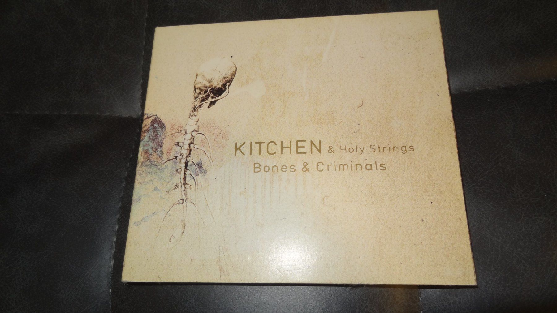 CDs: Kitchen & Holy Strings - Bones & Criminals CD – Gebraucht aus Olten von Disc-Ausverkauf