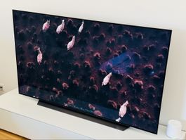 Fernseher TV LG OLED 65 Zoll OLED65CX6LA Defekt