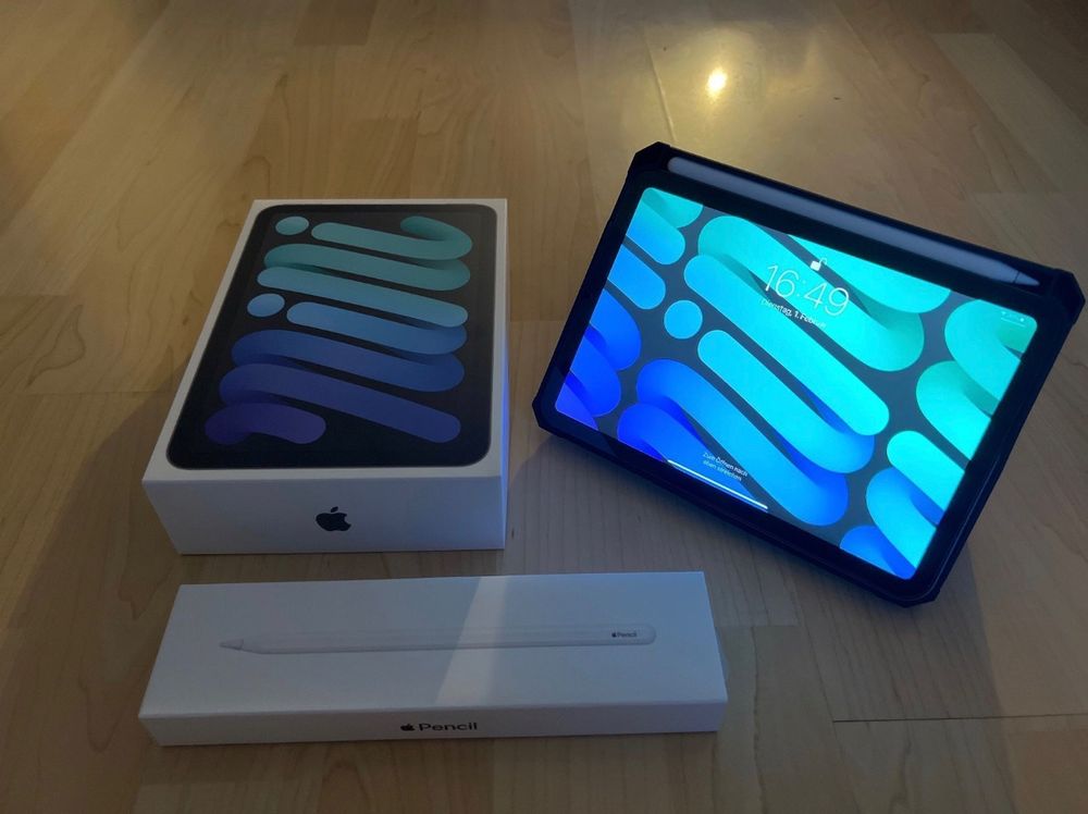 Apple iPad mini 2021 256 Gb wi-fi (Gebraucht) in Zürich für CHF 550 ...