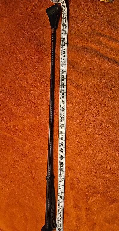 Sonstiges Tierzubehör: Reit Spring Gerte – Gebraucht aus Roggliswil von Amita59 2