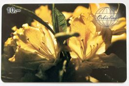 Taxcard - Telefonkarte - Rhododendron - Orbisline - CH