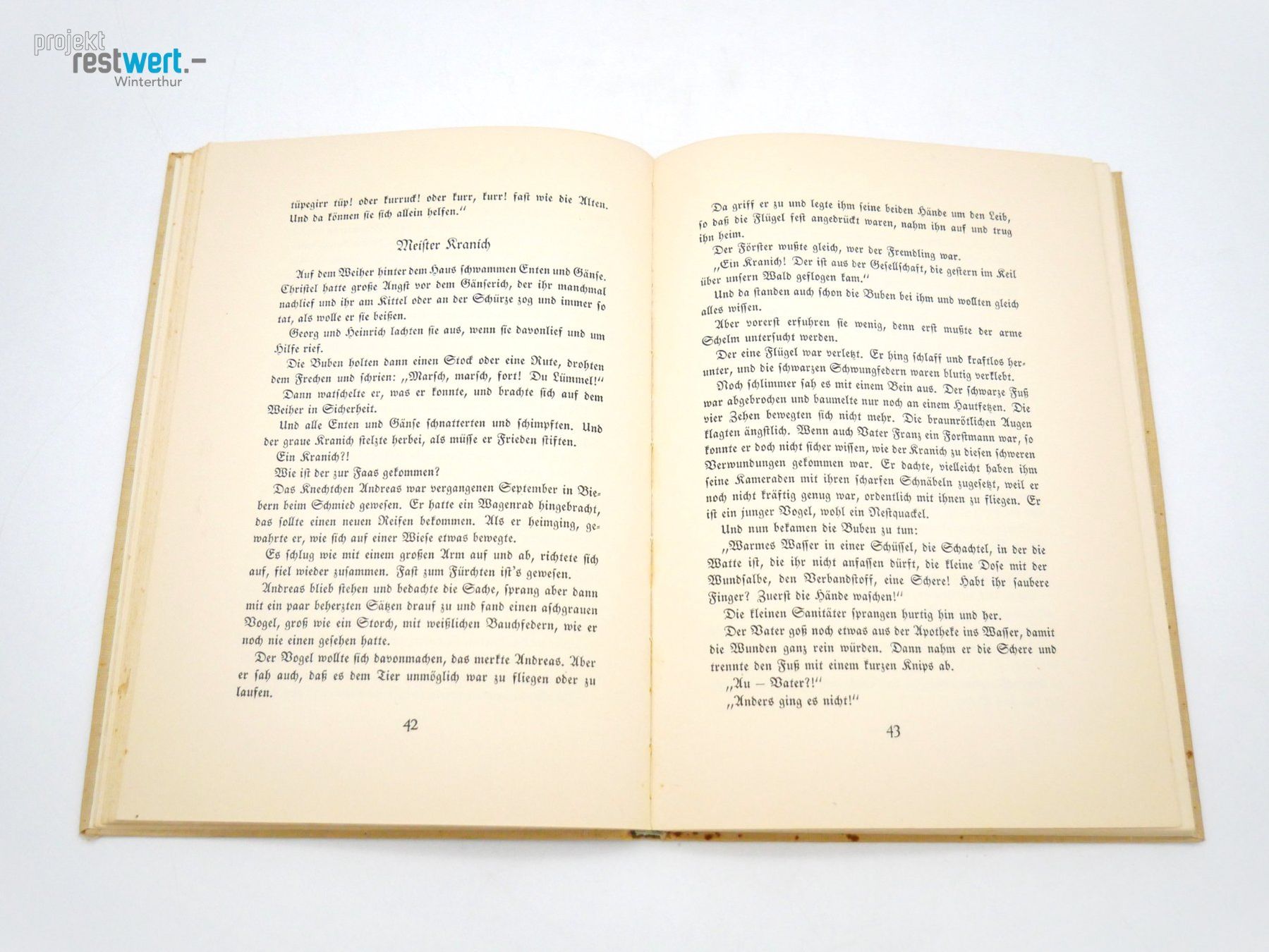 Libri: Christel und der Wald – Usato da Winterthur venduto da Restwert_Winterthur 1