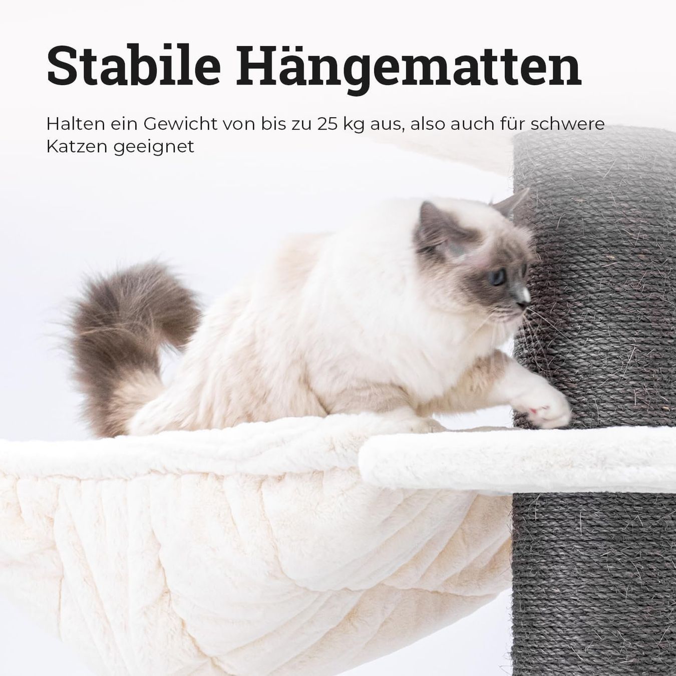 Katzenbaum - Kratzbaum: Petrebels Siberian 200 Kratzbaum White – Neu und originalverpackt aus Bottighofen von zaap 2