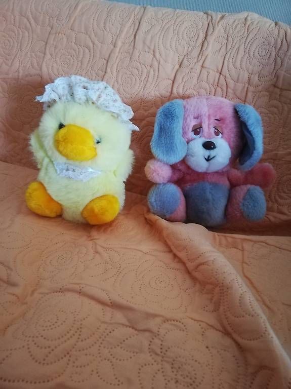 Jouets: Peluches – Neuf avec emballage d'origine à La Sagne VD par bri_d6b5 3