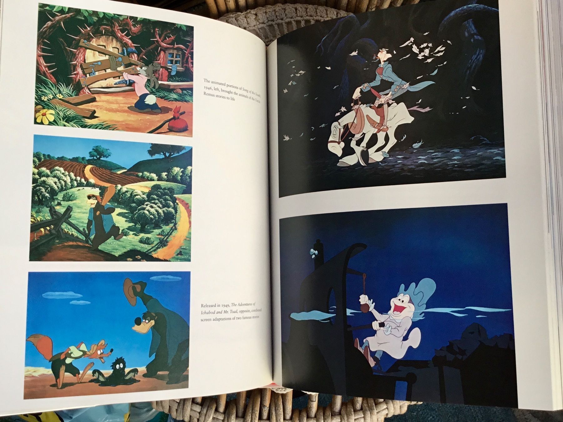 Libri: Walt Disney Buch – Usato da Schlieren venduto da Jeajet 3