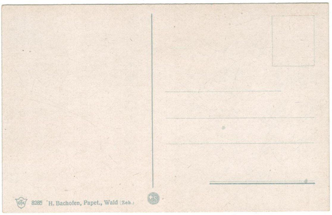 Cartoline postali: AK  Wald ZH – Usato da Zürich venduto da Tolima194 1