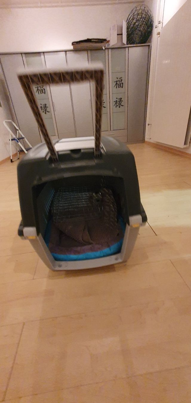 Gabbie, trasporto & Sicurezza: Hundebox – Usato da Nesselnbach venduto da Chliinihaex 1