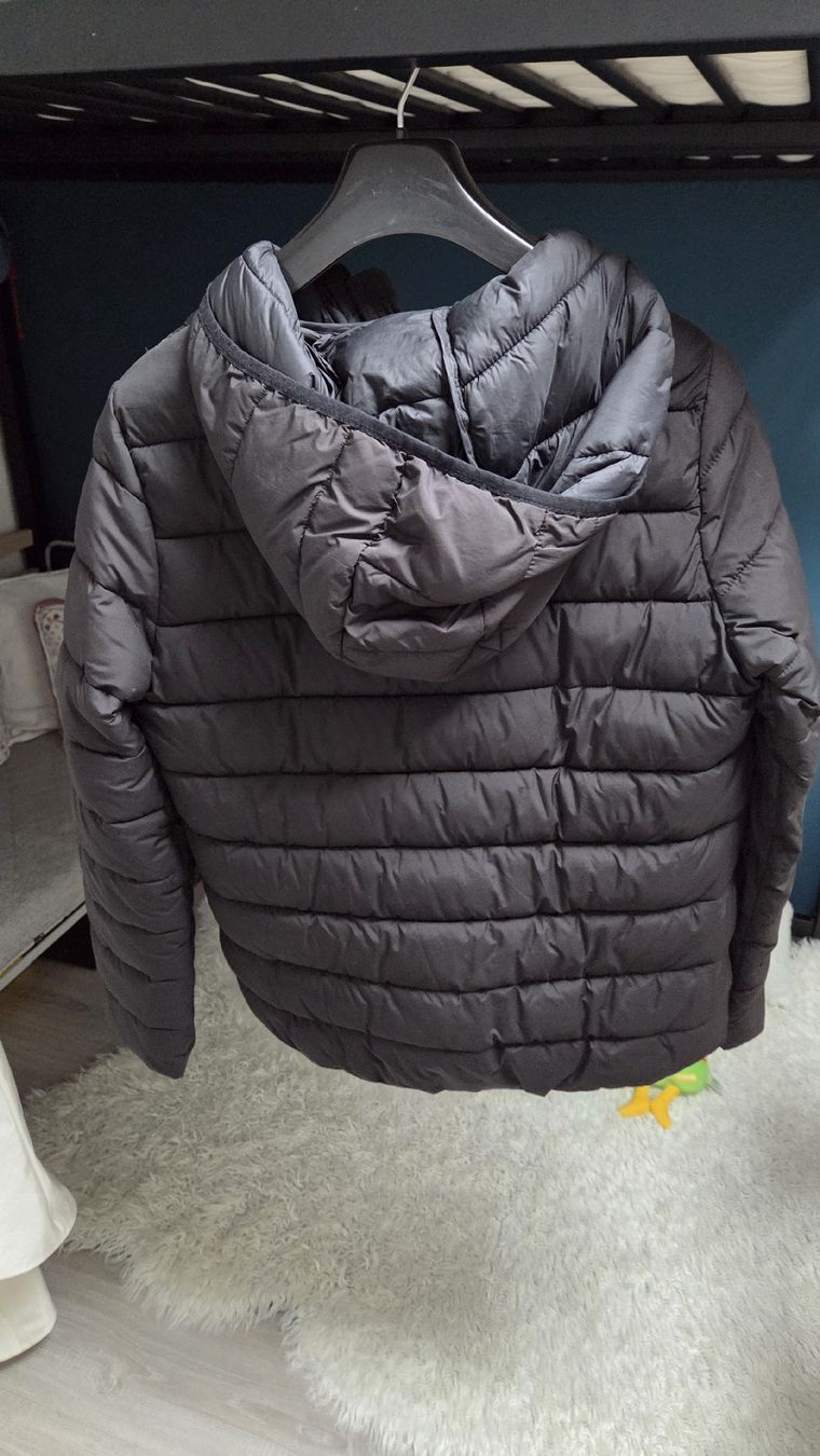 Champion Giacche & Cappotti: Champion Jacke – Usato da Winterthur venduto da sandi99 1