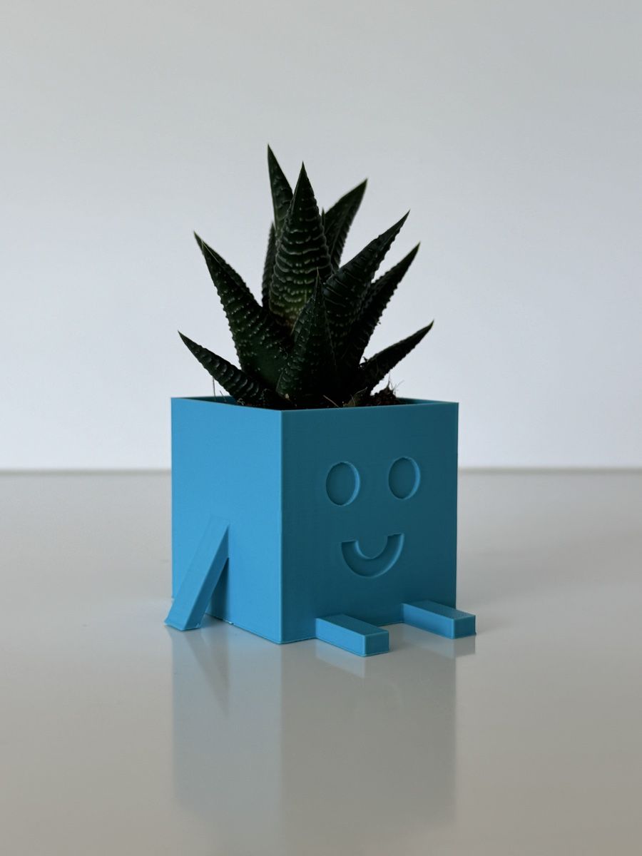 Vasi & Recipienti: Homemade designed cube vase for little plants – Nuovo (secondo la descrizione) da Bellinzona venduto da Yoichi