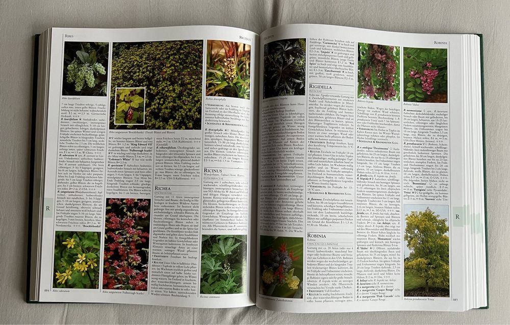 Dumont’s große PflanzenEnzyklopädie Ausgabe 1999 2 Bände Kaufen