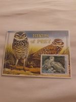 Carte postale Afghanistan 2001 - Oiseaux de proie rare!